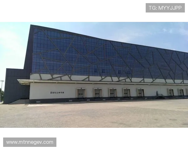 透视凯发官网的安全性与用户体验保障